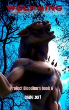 Project Bloodborn - Book 6