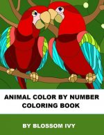 Animal Color By Number Coloring Book: Fun Coloring Book for Adults Relaxation and Stress Relief