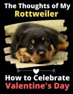 The Thoughts of My Rottweiler: How to Celebrate Valentine's Day