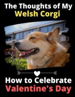 The Thoughts of My Welsh Corgi: How to Celebrate Valentine's Day