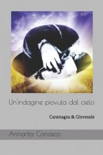 Un'indagine piovuta dal cielo