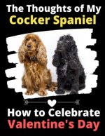 Thoughts of My Cocker Spaniel