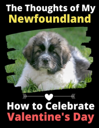 The Thoughts of My Newfoundland: How to Celebrate Valentine's Day