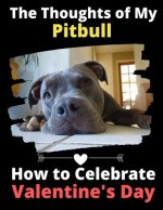 Thoughts of My Pitbull