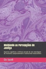 Moldando as Percepç?es de Justiça: Aspectos cognitivos e afetivos através de uma abordagem da economia comportamental e institucional evolucionária