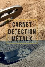 Carnet Détection Métaux: Carnet de détection de métaux pour les amateurs des trésors - 120 Pages
