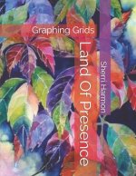 Land Of Presence: Graphing Grids