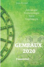 GEMEAUX 2020 - L'essentiel