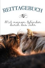Reittagebuch: Das Reittagebuch zum Eintragen für über 200 Reiteinheiten für jemanden mit einem Isländer - Jahreskalender - Geschenki