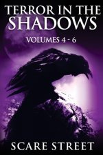 Terror in the Shadows Volumes 4 - 6: Scary Ghosts, Paranormal & Supernatural Horror Short Stories Anthology
