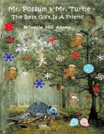 Mr. Possum & Mr. Turtle - The Best Gift Is A Friend