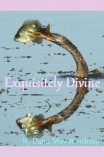 Exquisitely Divine