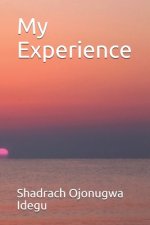 My Experience