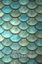 Mon petit Carnet pratique: Calepin ligné ou Carnet de notes - écriture notes rapides - petit format 12,85 x 19,84 broché - 151 pages - tuile écai