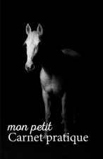 Mon petit Carnet pratique: Calepin ligné ou Carnet de notes - écriture notes rapides - petit format 12,85 x 19,84 broché - 151 pages - fond noir