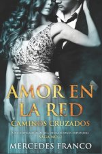 Amor en la Red. Caminos Cruzados. Una novela romántica de emociones explosivas. Saga No. 2