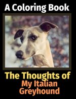 Thoughts of My Italian Greyhound