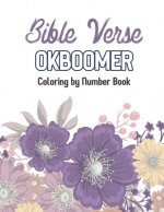 Bible Verse OkBoomer Coloring by Number Book: Color by Number Book, Christian Religious Lessons Coloring Book, Good Vibes Relaxation and Inspiration