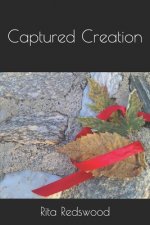 Captured Creation