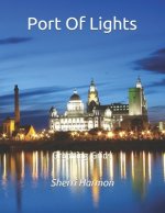 Port Of Lights: Graphing Grids