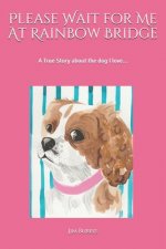 Please Wait for Me At Rainbow Bridge: A True Story About The Dog I Love
