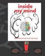 Inside My Mind: A Crazy Man's Drawing Book