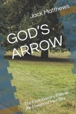 God's Arrow: A Heuristic Study of Morality and the future path of Humanity