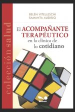 Acompanante Terapeutico