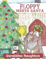 Floppy Meets Santa