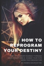 How to Reprogram Your Destiny: How to Discover Yourself Through Your Perceptions and Change Your Fate Using Your Imagination