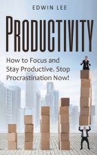 Productivity: How to Focus and Stay Productive: Stop Procrastination Now!: Get things done