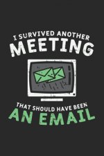 I Survived Another Meeting That Should Have Been An E-mail: 120 Pages I 6x9 I Karo