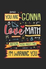 You Are Gonna Love Math After You Meet Me: 120 Pages I 6x9 I Karo