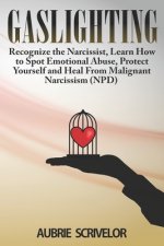 Gaslighting: Recognize the Narcissist, Learn How to Spot Emotional Abuse, Protect Yourself and Heal From Malignant Narcissism (NPD)