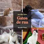 Gatos de rua: Um olhar sobre