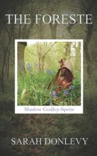 The Foreste: Shadow Godley-Sprite