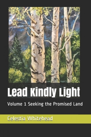 Lead Kindly Light: Volume 1 Seeking the Promised Land