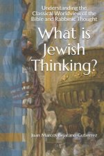 What is Jewish Thinking?: Understanding the Classical Worldview of the Bible and Rabbinic Thought
