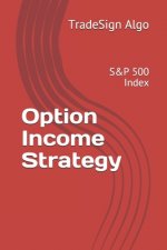 Option Income Strategy: S&P 500 Index