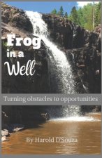 Frog in a Well: Turning obstacles to opportunities