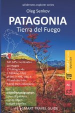 PATAGONIA, Tierra del Fuego: Smart Travel Guide for Nature Lovers, Hikers, Trekkers, Photographers (budget version, b/w)