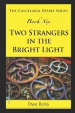 The Calcelaria Desire Series: Book Six: Two Strangers in the Bright Light