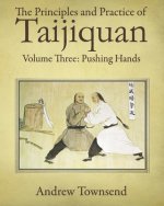 The Principles and Practice of Taijiquan: Volume Three: Pushing Hands
