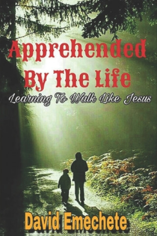 Apprehended By The Life: Learning To Walk Like Jesus