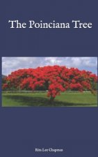 Poinciana Tree