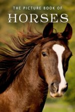 Picture Book of Horses