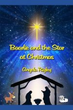 Baarlie and the Star