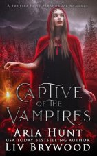 Captive of the Vampires: A Bonfire Falls Paranormal Romance