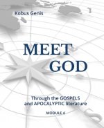 Meet God - Module 4: Through the GOSPELS and APOCALYPTIC literature