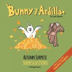 Autumn Surprise / Sorpresa de Oto?o: A Bilingual Book